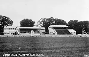 Vintage Racing Images Prints: View of course and stands, Plumpton racecourse