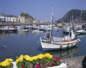 Ilfracombe Harbour Print, circa 1960s