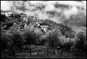View of hilltop village Bennabio olive trees and mist Italy View of hilltop village Bennabio olive trees and mist Italy