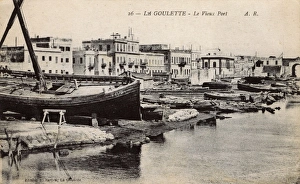 View of the old port, La Goulette, Tunisia, North Africa View of the old port, La Goulette, Tunisia, North Africa