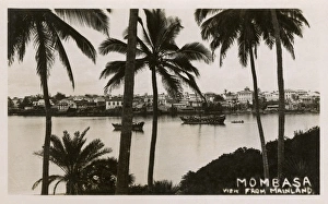 View through palm trees, Mombasa, Kenya, East Africa View through palm trees, Mombasa, Kenya, East Africa