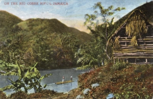 View of the Rio Cobre, Jamaica, West Indies View of the Rio Cobre, Jamaica, West Indies
