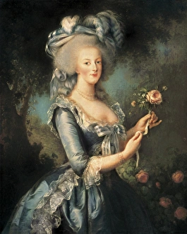 Vigee-Lebrun, Elisabeth (1755-1842). Marie-Antoinette Vigee-Lebrun, Elisabeth (1755-1842). Marie-Antoinette