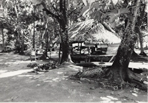 Village in Tuvalu, Gilbert Islands, Pacific Village in Tuvalu, Gilbert Islands, Pacific