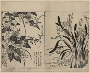 Woodblock Art Japan Prints: Vines and daffodils