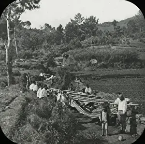 Black and White Print of Hammock Men Resting in Madeira, circa 1890s