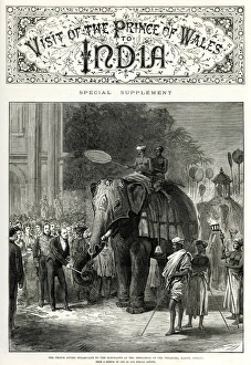 Visit of the Prince of Wales to India - elephants Visit of the Prince of Wales to India - elephants