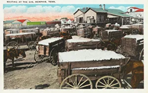 Waiting at the Cotton Gin - Memphis, Tennessee Waiting at the Cotton Gin - Memphis, Tennessee