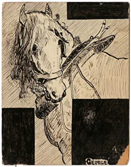 War Horse - illustration on postcard by George Ranstead War Horse - illustration on postcard by George Ranstead