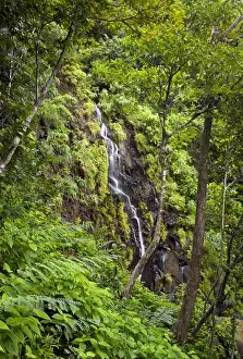 Country Landscape Photography Prints: A waterfall in Ferney Forest