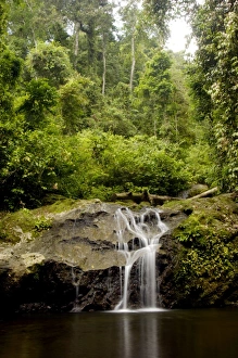 A waterfall and a small pool near river Danum A waterfall and a small pool near river Danum