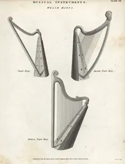 Universal Dictionary Of Arts And Sciences Literature Prints: Welsh harps