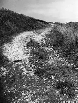 Gower Peninsula Landscape Prints: Welsh Trackway