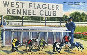 West Flagler Kennel Club, Miami, Florida, USA West Flagler Kennel Club, Miami, Florida, USA