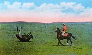 Western Canada - Cowboy roping a steer Western Canada - Cowboy roping a steer