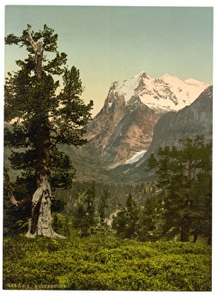 Wetterhorn, general view, Bernese Oberland, Switzerland Wetterhorn, general view, Bernese Oberland, Switzerland