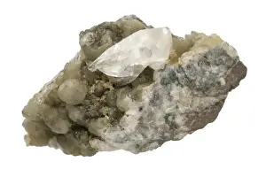 Mineral Specimen Photography Prints: Whewellite