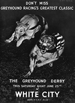 White City greyhound racing advertisement, 1938 White City greyhound racing advertisement, 1938
