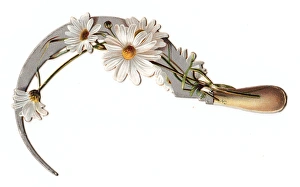 White daisies and sickle on a cutout greetings card White daisies and sickle on a cutout greetings card