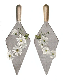 White flowers on trowels on two cutout greetings cards White flowers on trowels on two cutout greetings cards