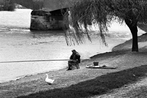 White goose and fisherman Beaumont sur Oise, France White goose and fisherman Beaumont sur Oise, France