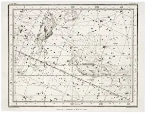 Astrology Signs Prints: Whittaker / Pisces