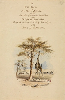 Wild Sports of South Africa, William Harris Wild Sports of South Africa, William Harris