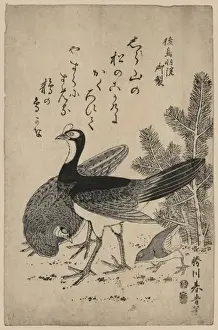 Japanese Wildlife Art Prints: Wildfowl and pine