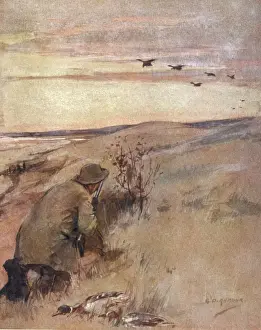 Prints of Wildfowling - flighting Waterfowl Prints: Wildfowling Print - Flighting Scene