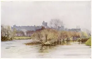 Thames River Views UK Prints: Windsor / Fellows Eyot