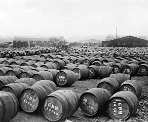 Wine Barrel Storage Solutions Prints: Wine Barrels