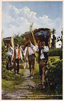 New images august 2021/wine production pinhao alto douro portugal New images august 2021/wine production pinhao alto douro portugal