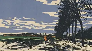 Bare Trees In Snow Prints: Winter by Adrian Hill