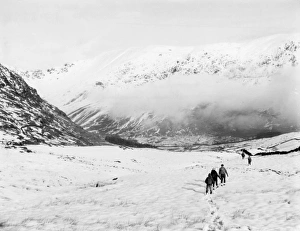 Winter Ramblers Winter Ramblers
