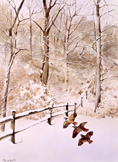 Winter scene with three birds flying over a field Winter scene with three birds flying over a field
