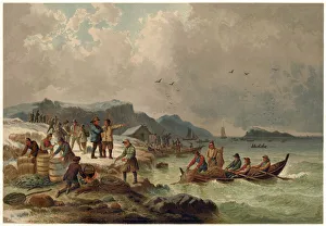Winter scene on the coast of Bergen, Norway, fishermen bringing in their catch of herring Winter scene on the coast of Bergen, Norway, fishermen bringing in their catch of herring