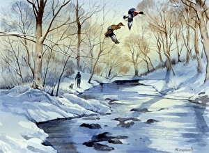 Winter scene with frozen river and two flying ducks Winter scene with frozen river and two flying ducks