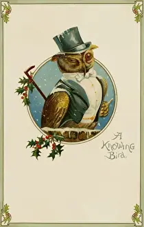 A Wise Owl Print, Formal Evening Wear, 1903