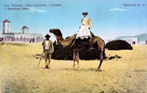 Woman on a camel, Las Palmas, Canary Islands Woman on a camel, Las Palmas, Canary Islands