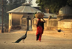 Photography philip dunn/woman carrying heavily laden basket head india Photography philip dunn/woman carrying heavily laden basket head india