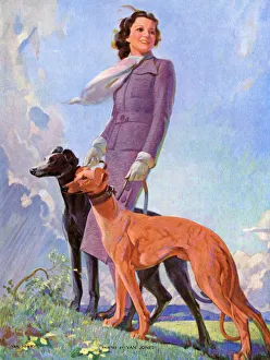 Woman with greyhound dogs in the Mountains Woman with greyhound dogs in the Mountains