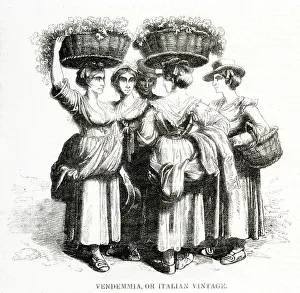 Women with baskets of grapes, Southern Italy Women with baskets of grapes, Southern Italy