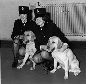 Women police dog handlers with drug sniffer dogs, London Women police dog handlers with drug sniffer dogs, London