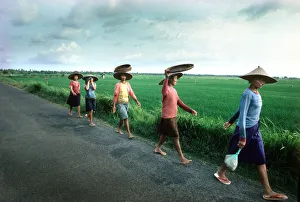 Women rice planters walk along a road to work in Bali Women rice planters walk along a road to work in Bali