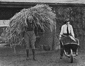 Women working at Army Remount Depot, WW1 Women working at Army Remount Depot, WW1
