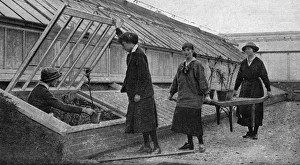 Women working in the hothouses at Windsor, WW1 Women working in the hothouses at Windsor, WW1
