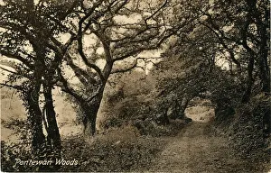 The Woods, Pentewan Print, Cornwall 1910s