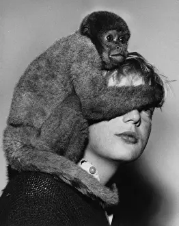 Unusual Animal Friends Prints: Woolly monkey and boy