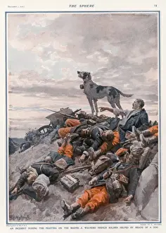 Prints of A wounded French soldier at the battle of the Marne is saved when the regimental dogs bark brings ambulance men to where he is lying Marne Prints: Print of Wounded Soldier Saved by Regimental Dog at the Battle of the Marne