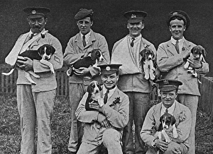 Wounded soldiers at Cheshire Hunt puppy show, WW1 Wounded soldiers at Cheshire Hunt puppy show, WW1